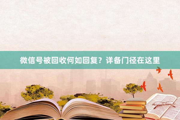 微信号被回收何如回复？详备门径在这里
